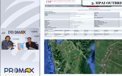 Avian Influenza (Episode 1, Part 2 of 5)