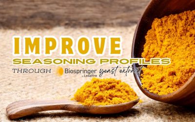 Yeast Extract Application in Seasoning Products