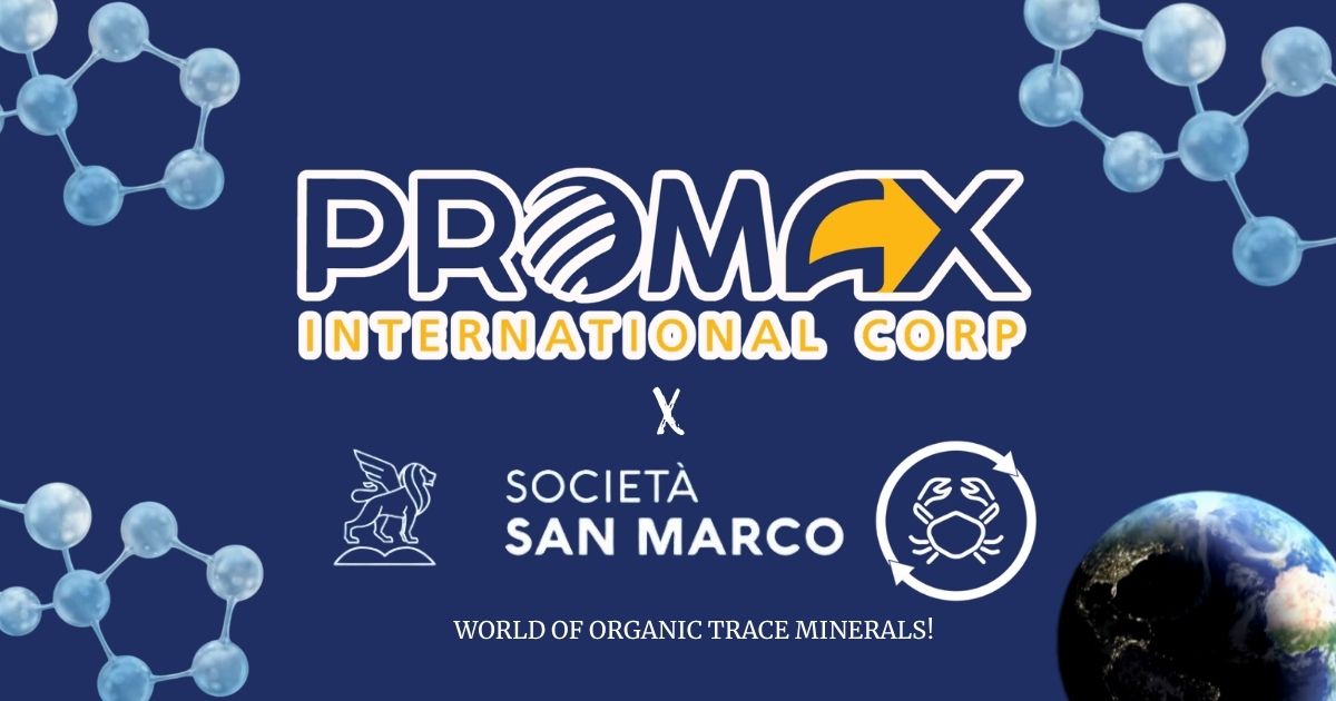 COVER PHOTO FOR WEBSITE